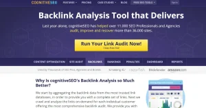 cognitiveSEO